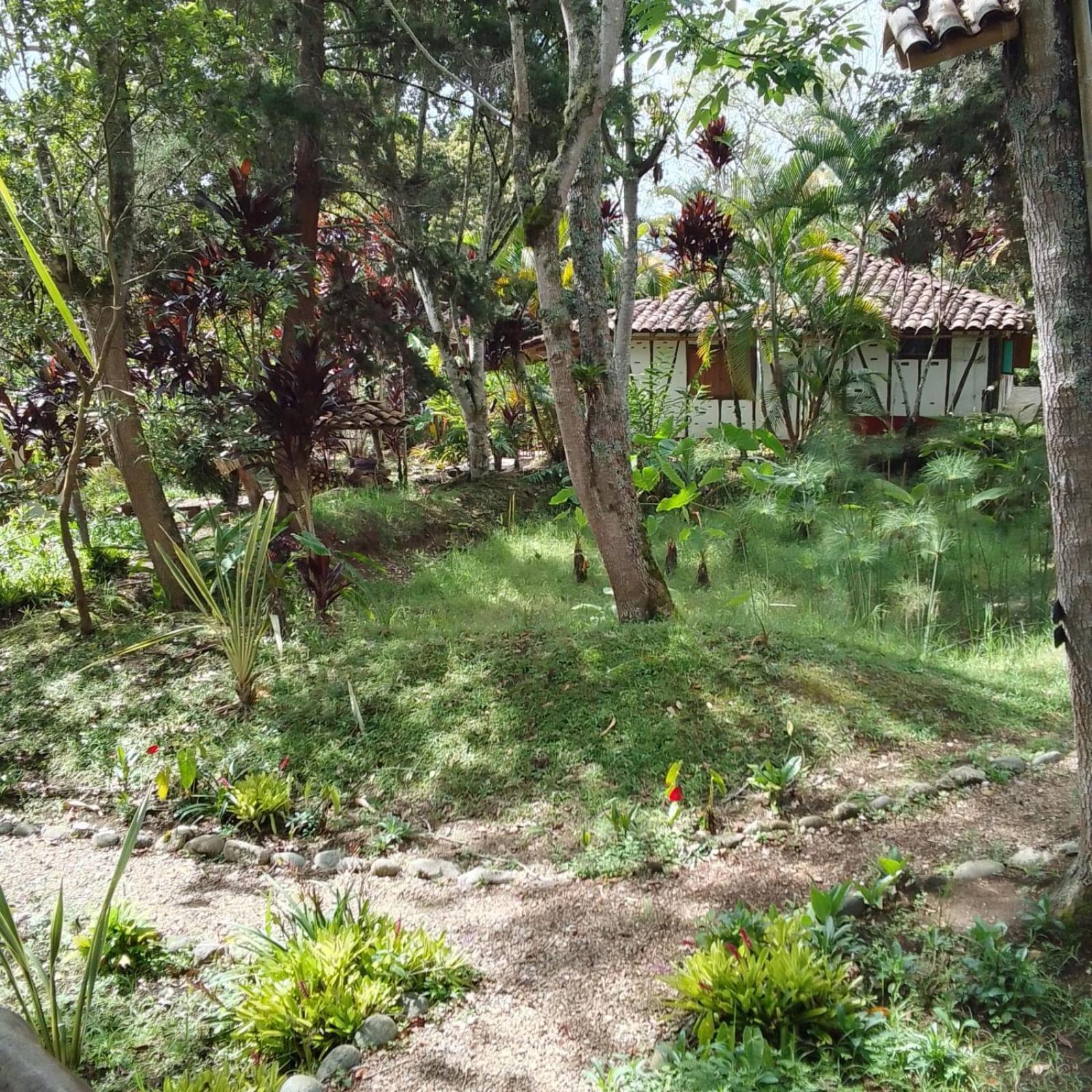 La Casa De Francois San Agustin (Huila)