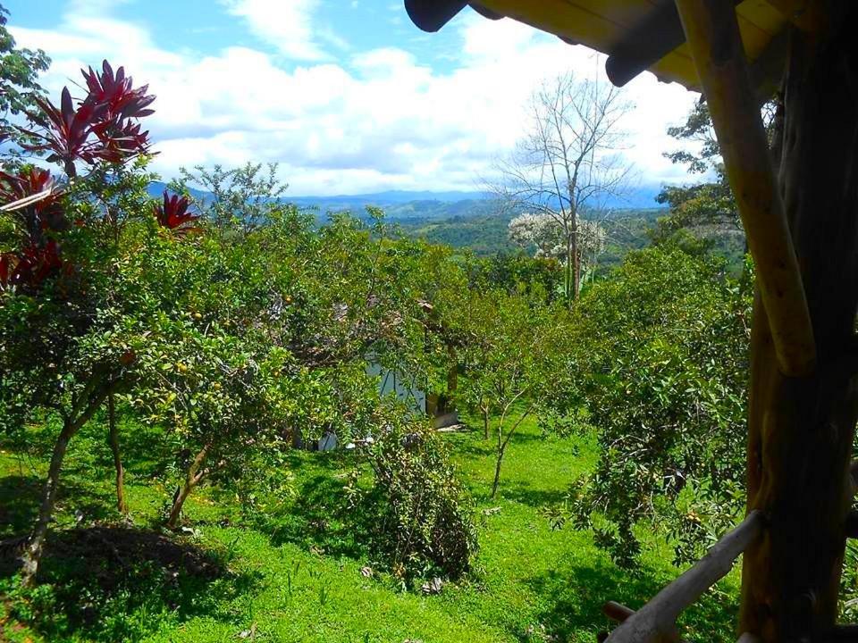 La Casa De Francois Hotel San Agustin (Huila)