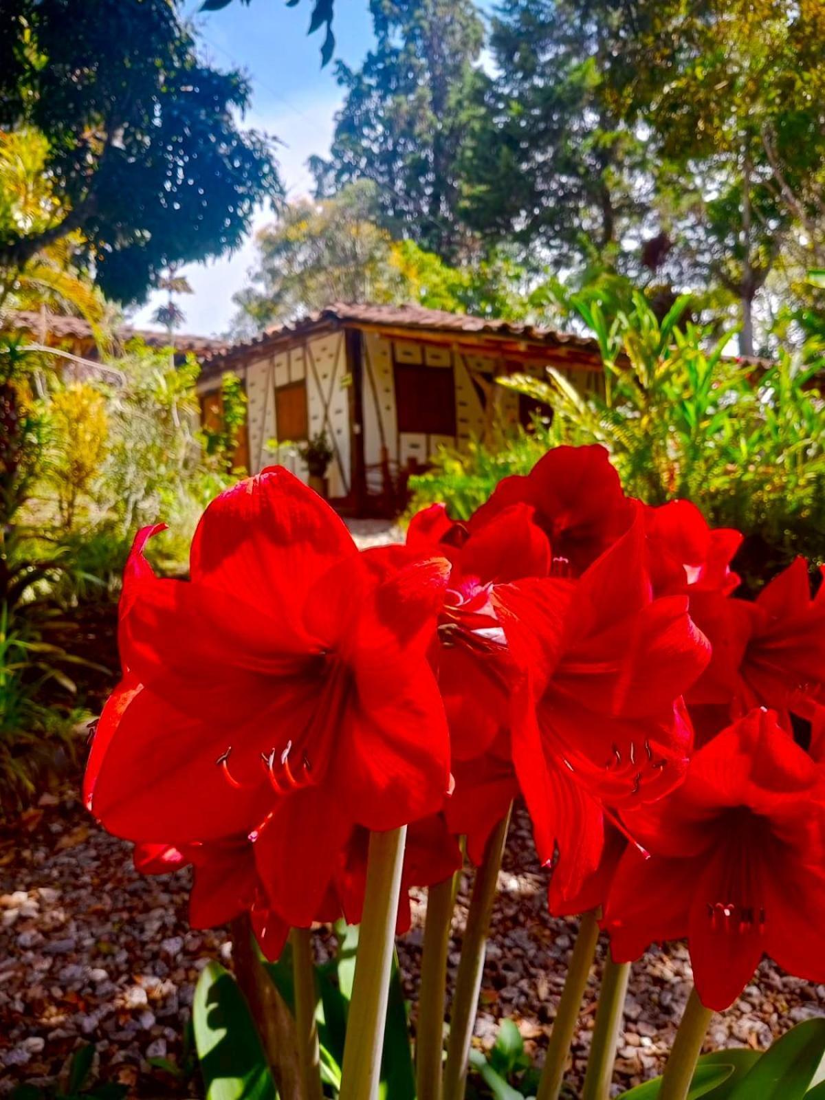 Hotel La Casa De Francois *