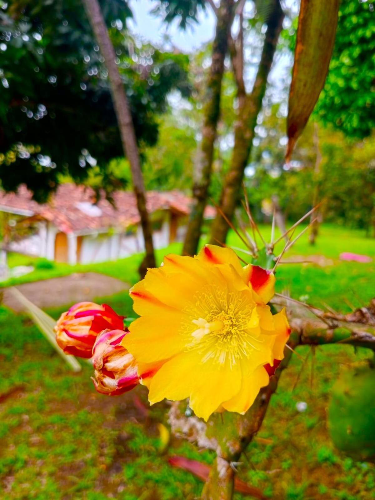 Hotel La Casa De Francois *